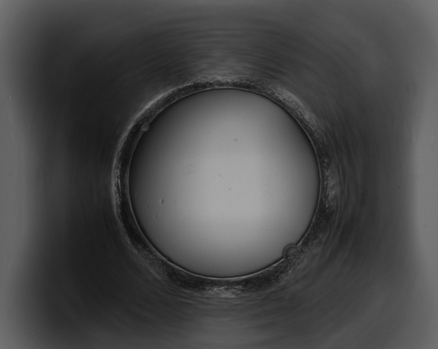 X0000100310680200806190943