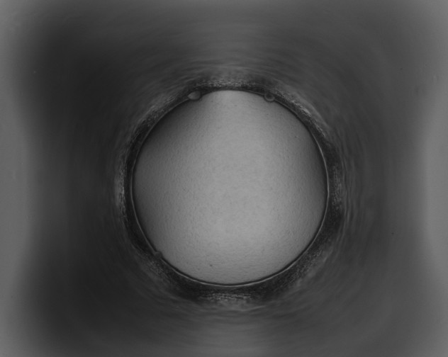 X0000100310681200806190943