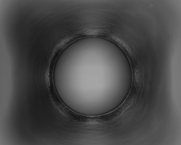 X0000100310682200806190943