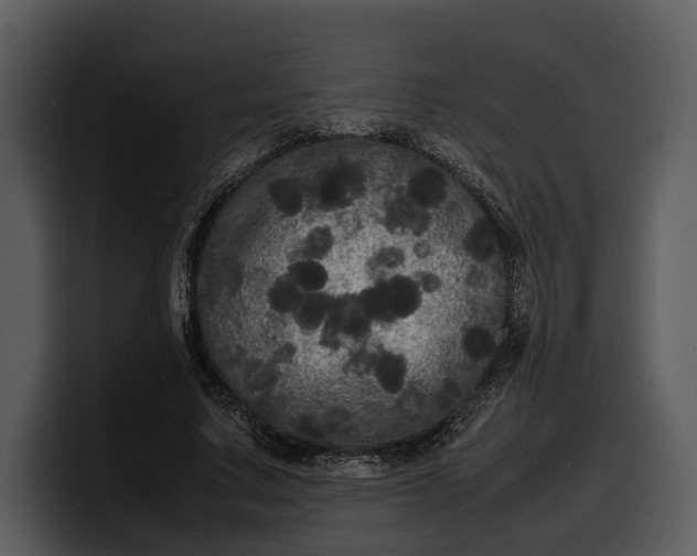 X0000100310683200806190943