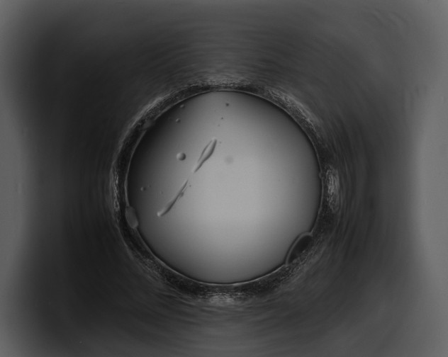 X0000100310684200806190943