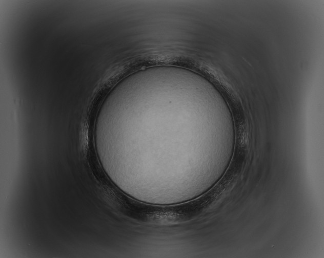X0000100310685200806190943