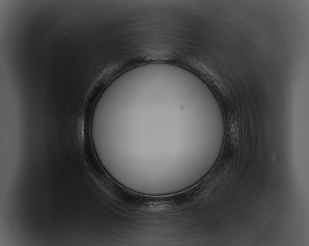 X0000100310686200806190943