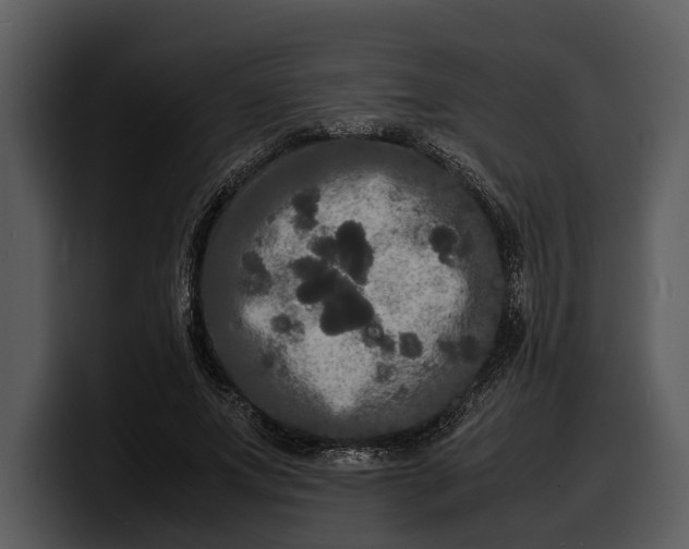 X0000100310687200806190943