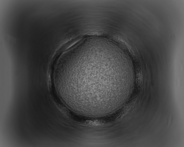 X0000100310688200806190943