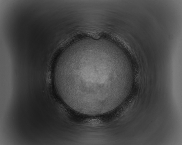 X0000100310689200806190943