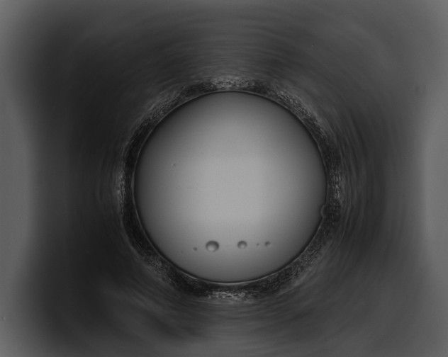X0000100310690200806190943