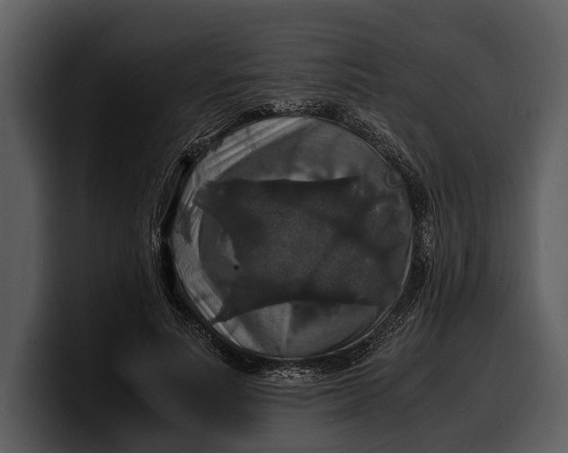 X0000100310691200806190943
