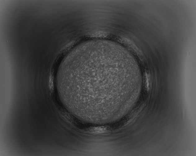 X0000100310692200806190943