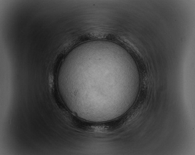 X0000100310693200806190943
