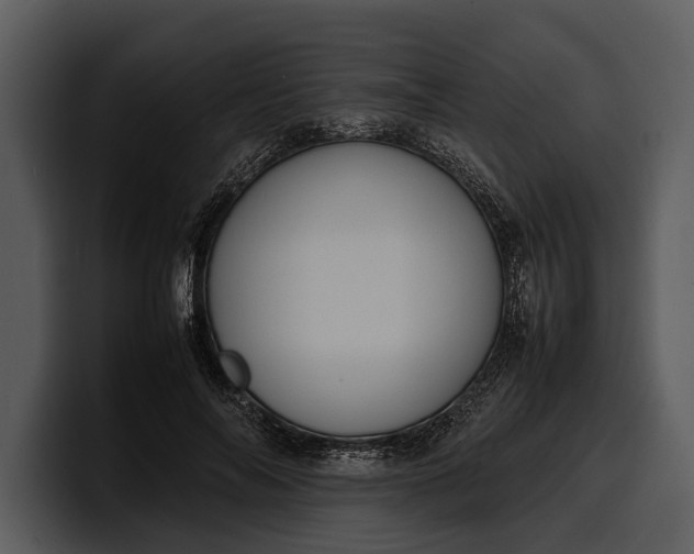 X0000100310694200806190943