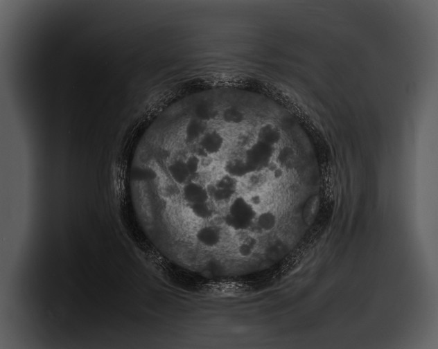 X0000100310695200806190942