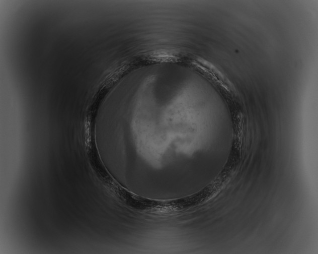 X0000100310696200806190942