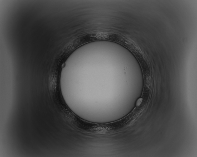 X0000100310697200806190942