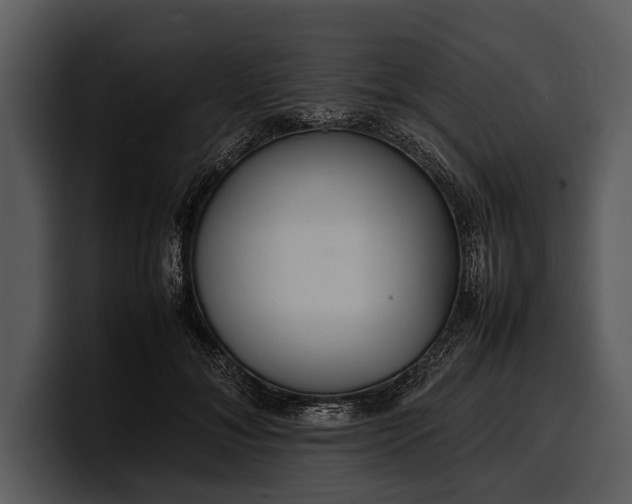 X0000100310700200806190942