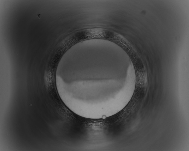 X0000100310701200806190942