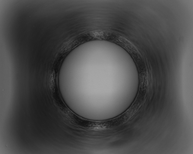 X0000100310702200806190942