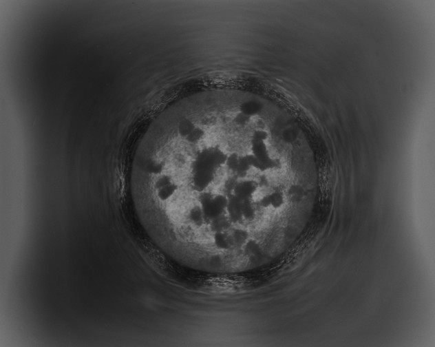 X0000100310703200806190942