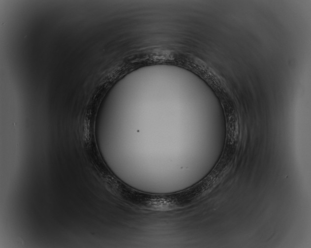 X0000100310704200806190942