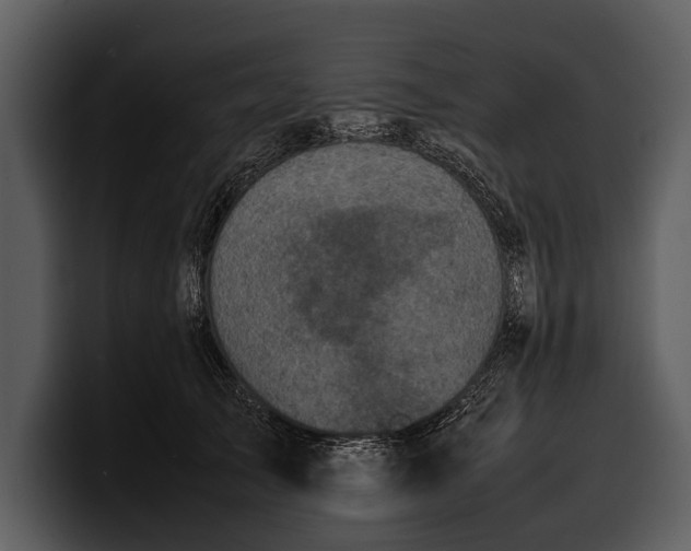 X0000100310705200806190942