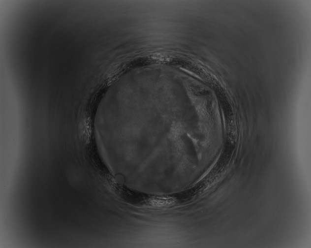 X0000100310707200806190942