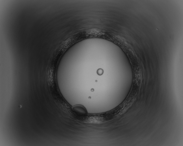 X0000100310708200806190942