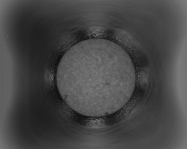 X0000100310709200806190942