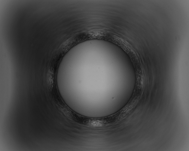 X0000100310710200806190942
