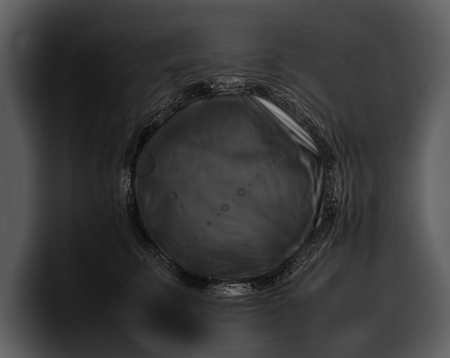 X0000100310711200806190942