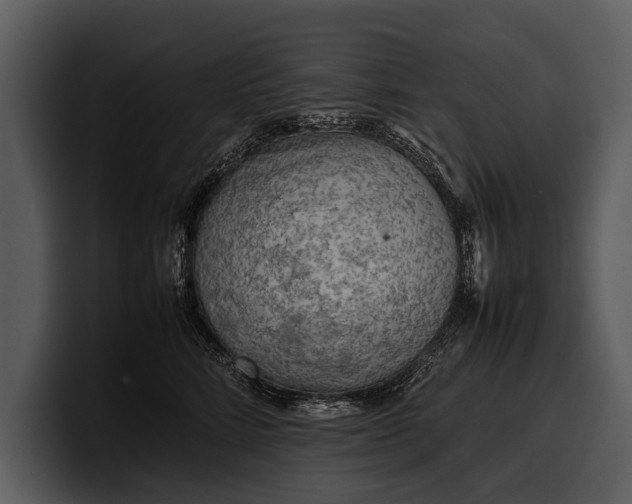 X0000100310712200806190942