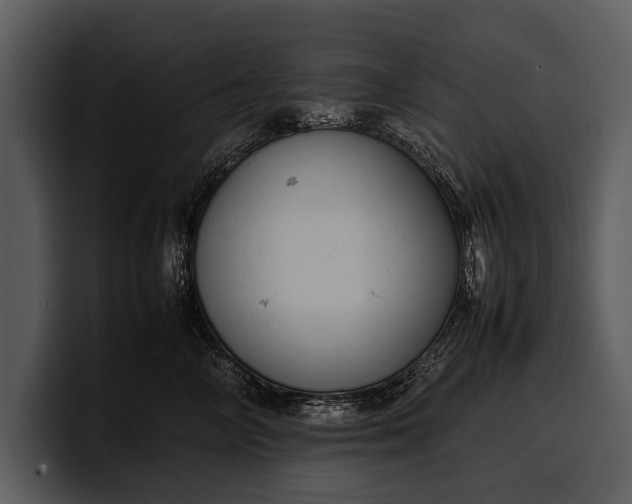 X0000100310714200806190942