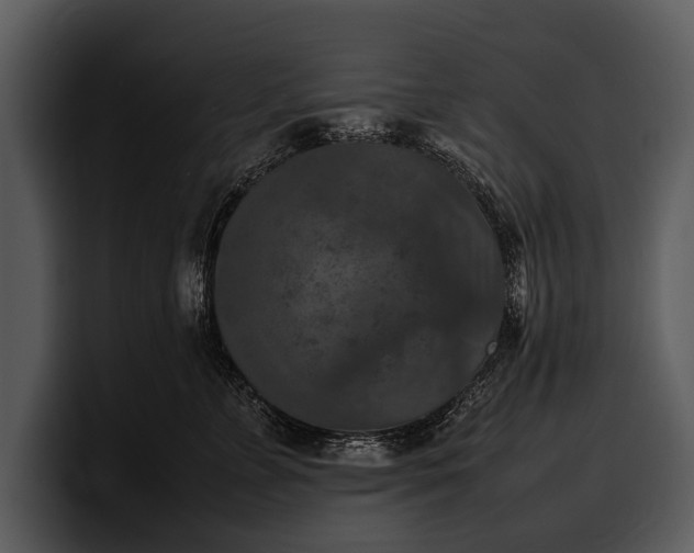 X0000100310715200806190942