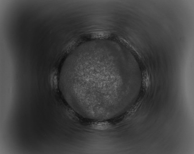 X0000100310716200806190942