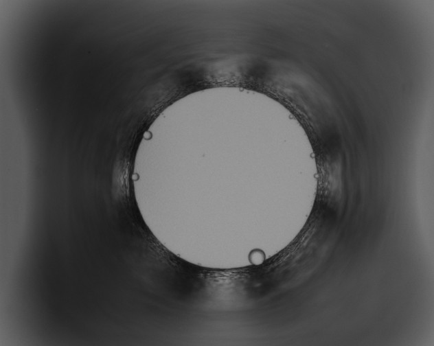 X0000100310717200806190942