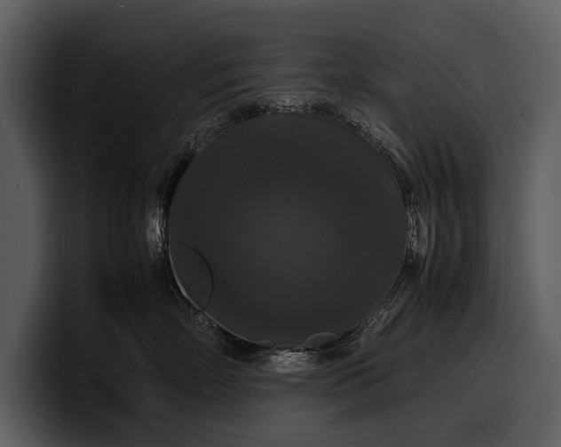 X0000100310718200806190942