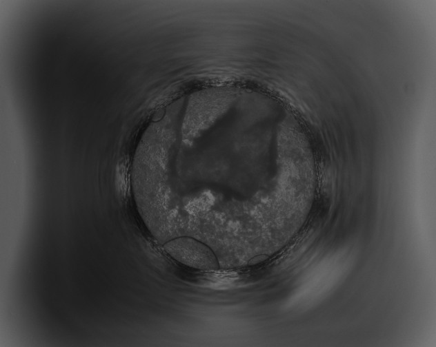 X0000100310719200806190942