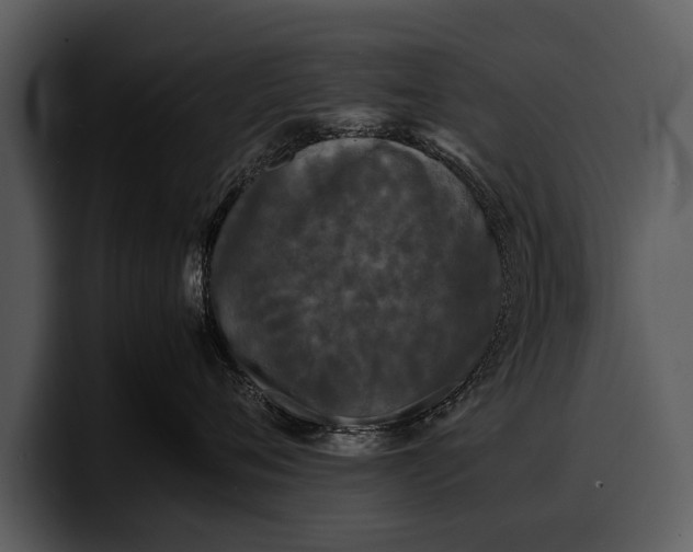 X0000100310720200806190942