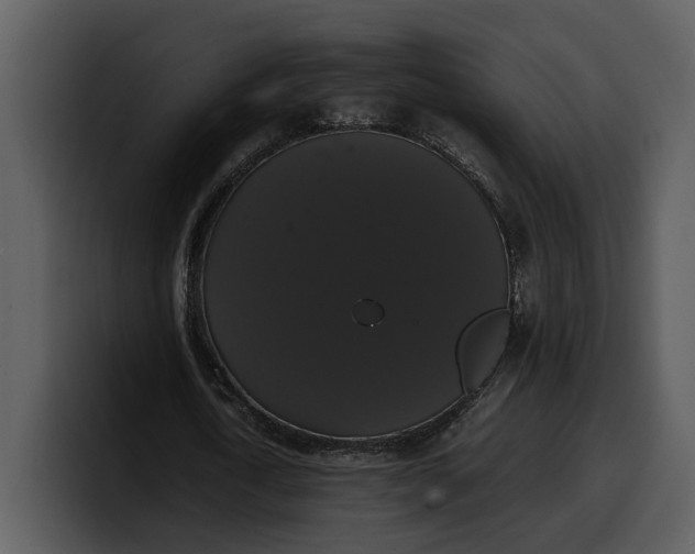 X0000100310722200806190942