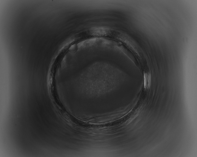 X0000100310723200806190942