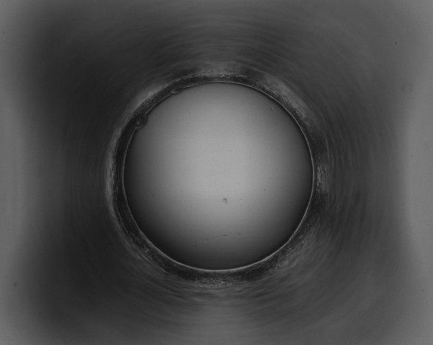X0000100310724200806190942