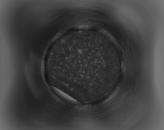 X0000100310725200806190942
