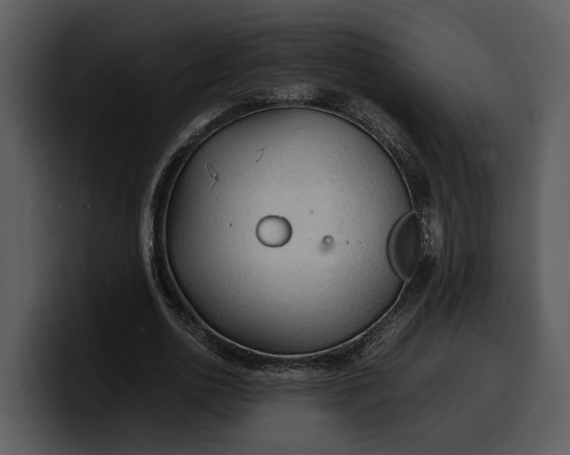 X0000100310726200806190942