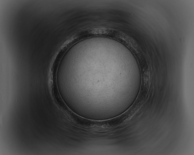 X0000100310727200806190942