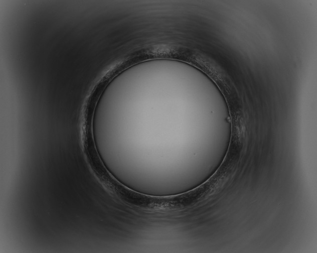 X0000100310728200806190942