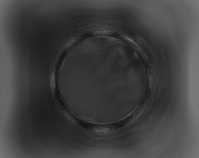 X0000100310729200806190942