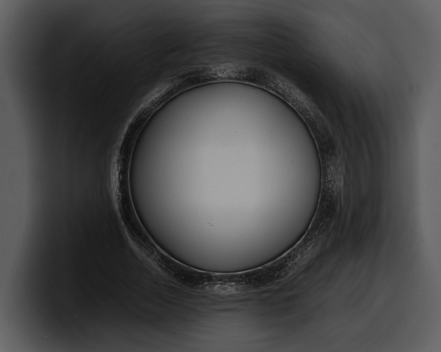 X0000100310730200806190942