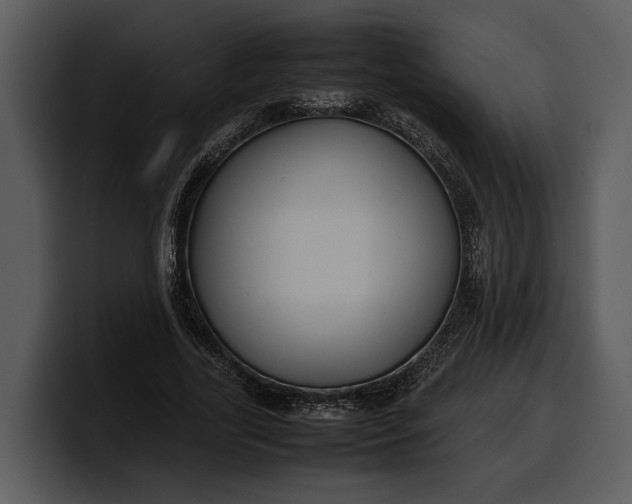 X0000100310731200806190942