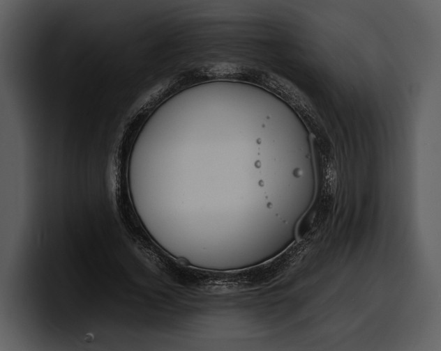 X0000100310732200806190942