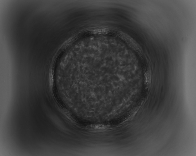 X0000100310733200806190942