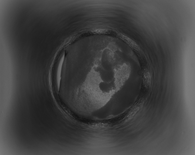 X0000100310734200806190942